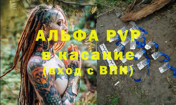 стаф Алзамай