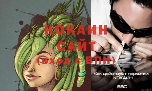 стаф Алзамай