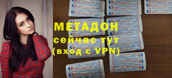 стаф Алзамай
