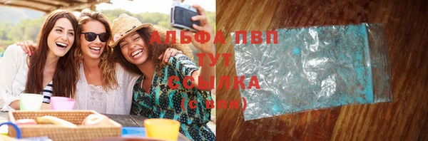 стаф Алзамай