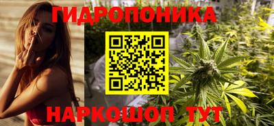 a pvp Ачхой-Мартан