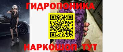 a pvp Ачхой-Мартан