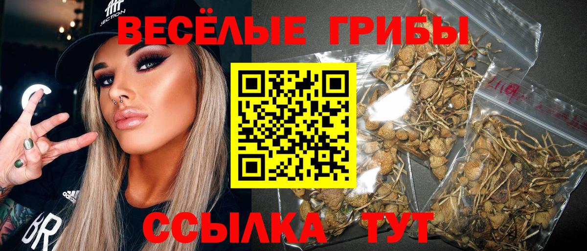 Псилоцибиновые грибы ЛСД Нарьян-Мар